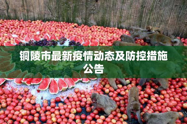 铜陵市最新疫情动态及防控措施公告