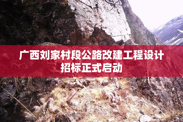 广西刘家村段公路改建工程设计招标正式启动