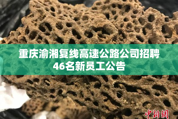 重庆渝湘复线高速公路公司招聘46名新员工公告