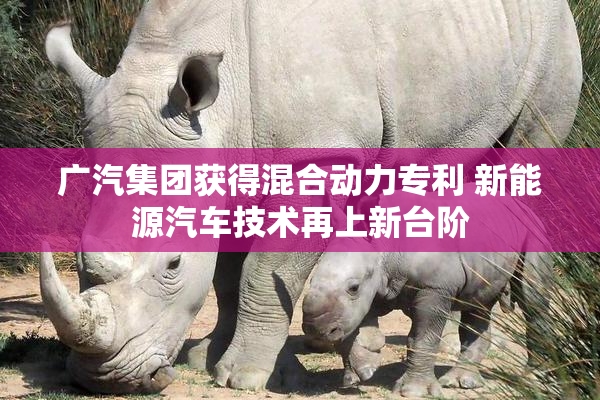 广汽集团获得混合动力专利 新能源汽车技术再上新台阶