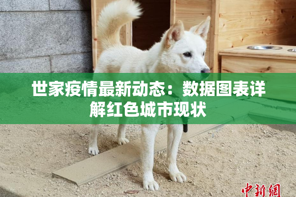 世家疫情最新动态：数据图表详解红色城市现状