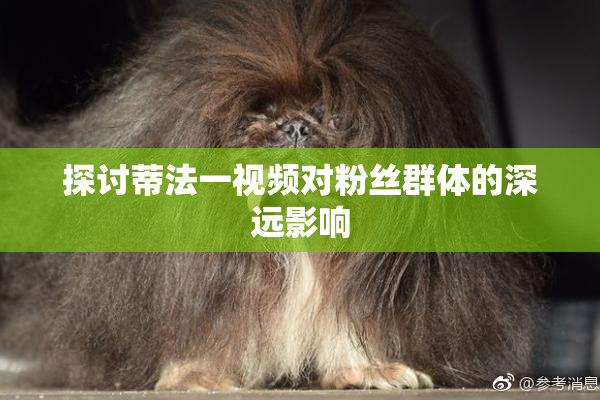 探讨蒂法一视频对粉丝群体的深远影响