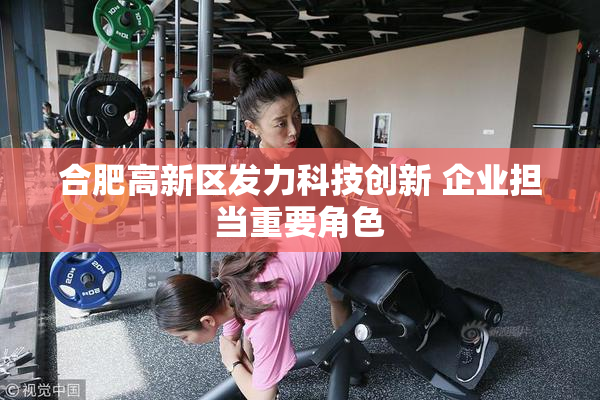 合肥高新区发力科技创新 企业担当重要角色