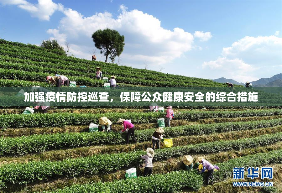 加强疫情防控巡查，保障公众健康安全的综合措施