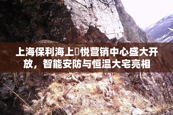 上海保利海上瑧悦营销中心盛大开放，智能安防与恒温大宅亮相
