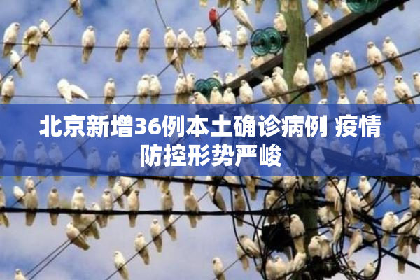 北京新增36例本土确诊病例 疫情防控形势严峻