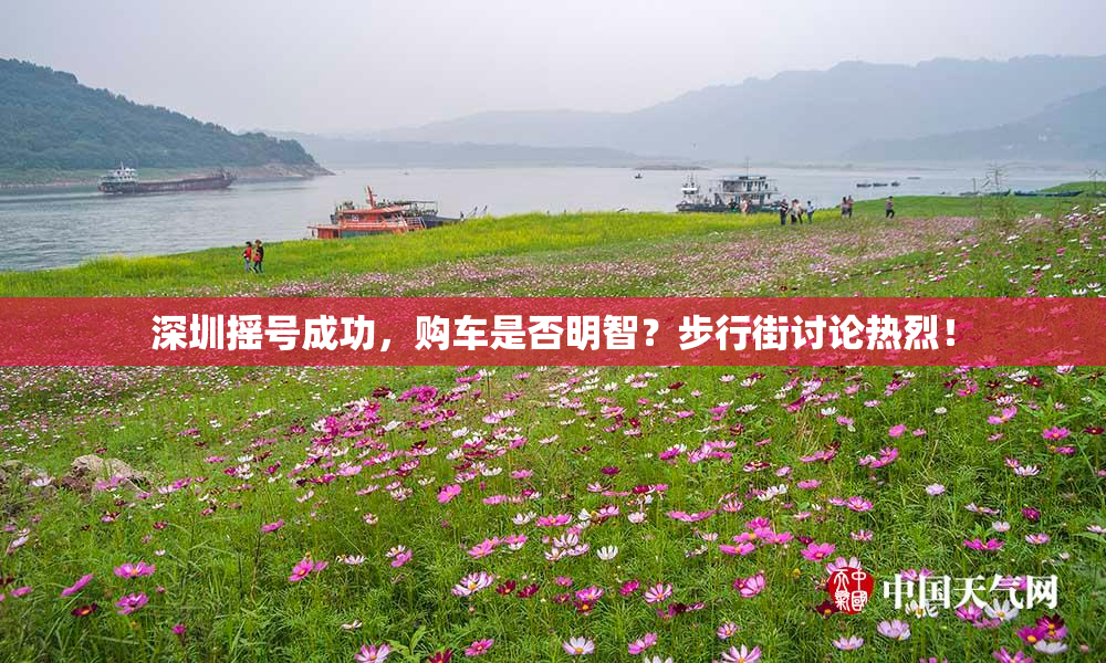 深圳摇号成功，购车是否明智？步行街讨论热烈！