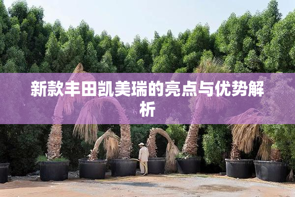 新款丰田凯美瑞的亮点与优势解析