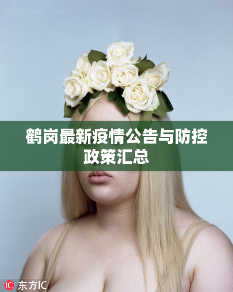 鹤岗最新疫情公告与防控政策汇总
