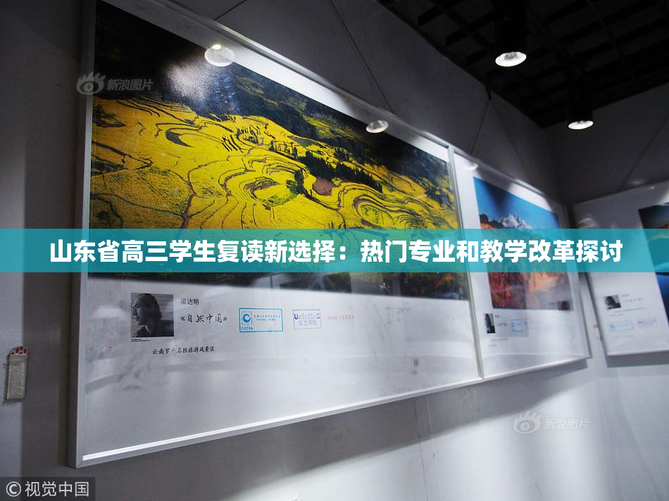 山东省高三学生复读新选择：热门专业和教学改革探讨