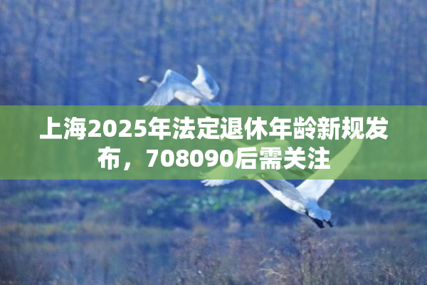 上海2025年法定退休年龄新规发布，708090后需关注