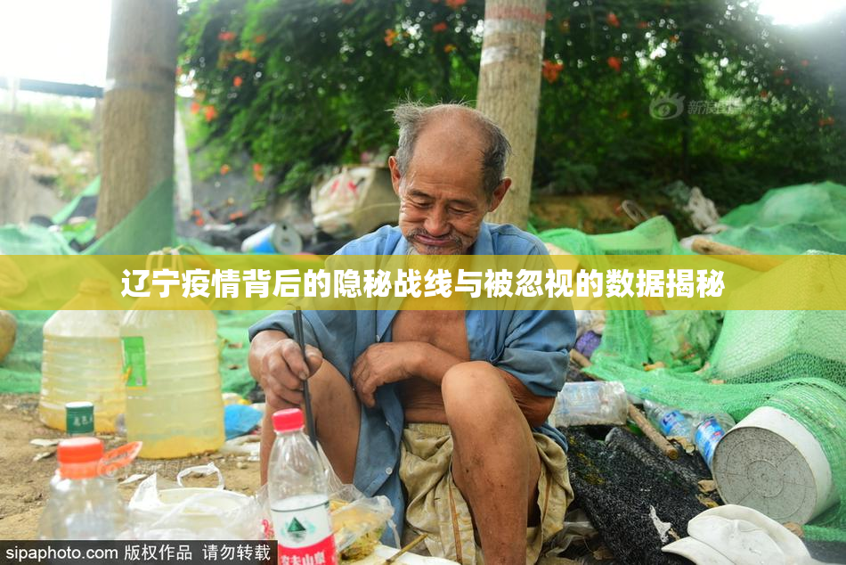 辽宁疫情背后的隐秘战线与被忽视的数据揭秘