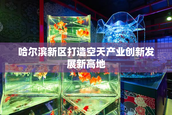哈尔滨新区打造空天产业创新发展新高地