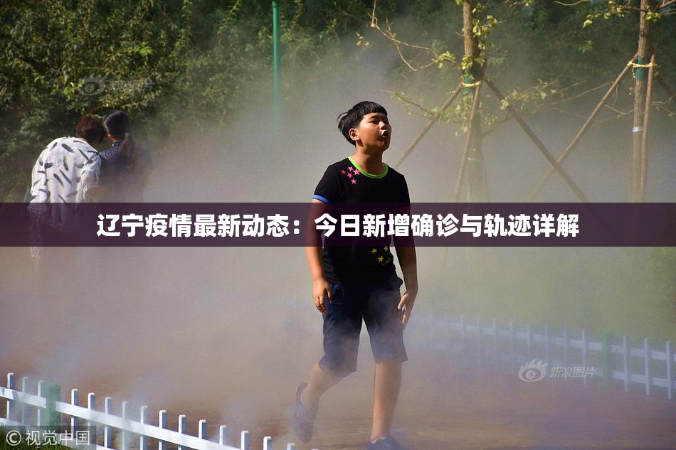 辽宁疫情最新动态：今日新增确诊与轨迹详解