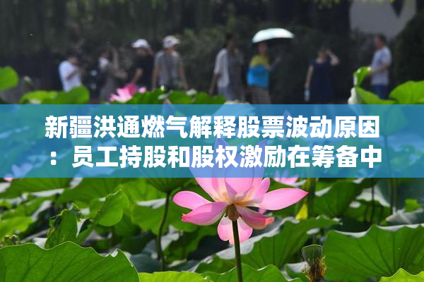 新疆洪通燃气解释股票波动原因：员工持股和股权激励在筹备中