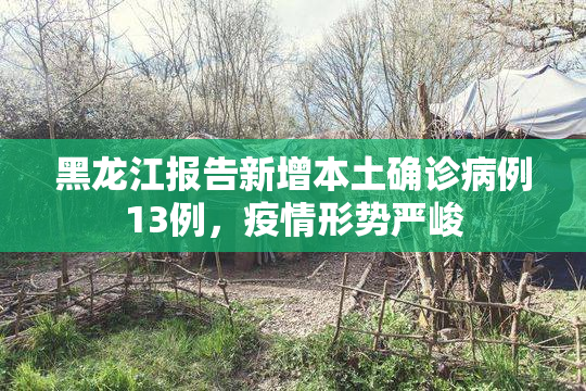 黑龙江报告新增本土确诊病例13例，疫情形势严峻