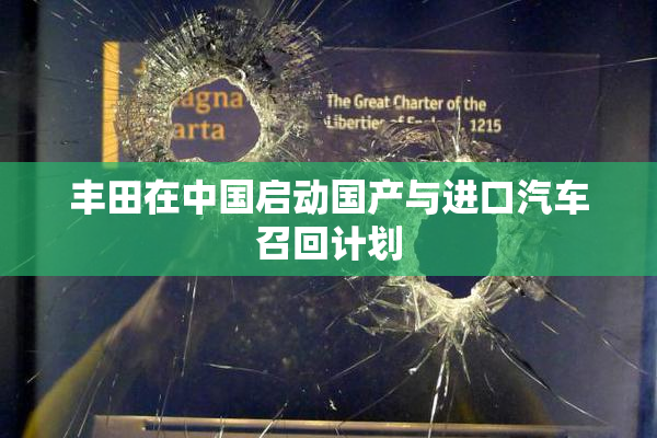 丰田在中国启动国产与进口汽车召回计划