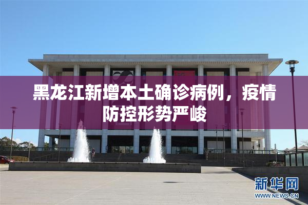 黑龙江新增本土确诊病例，疫情防控形势严峻