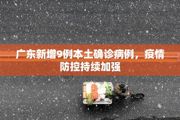 广东新增9例本土确诊病例，疫情防控持续加强
