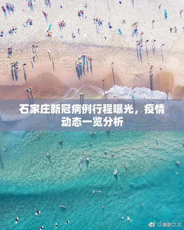 石家庄新冠病例行程曝光，疫情动态一览分析