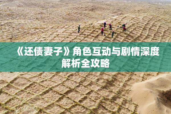 《还债妻子》角色互动与剧情深度解析全攻略