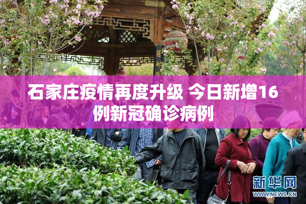 石家庄疫情再度升级 今日新增16例新冠确诊病例