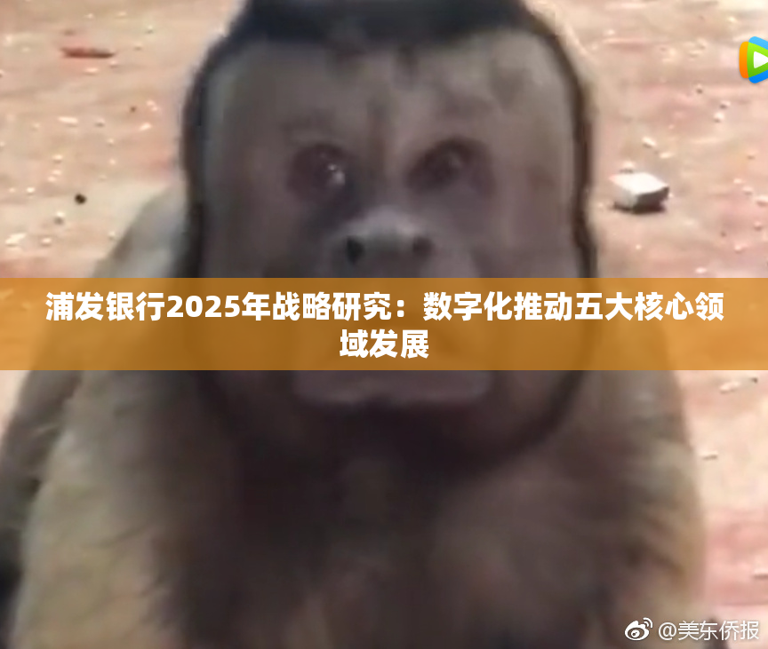 浦发银行2025年战略研究：数字化推动五大核心领域发展