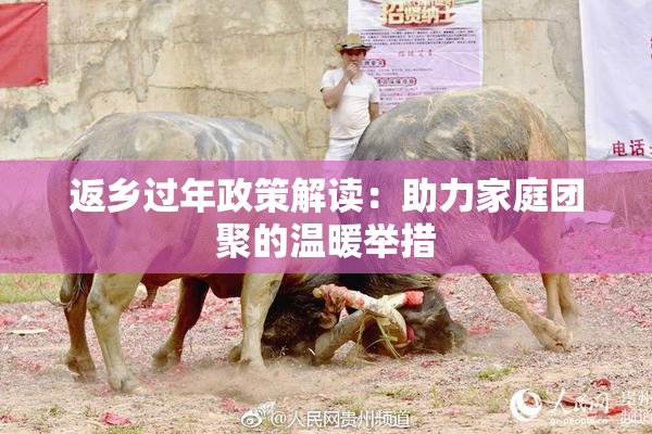 返乡过年政策解读：助力家庭团聚的温暖举措