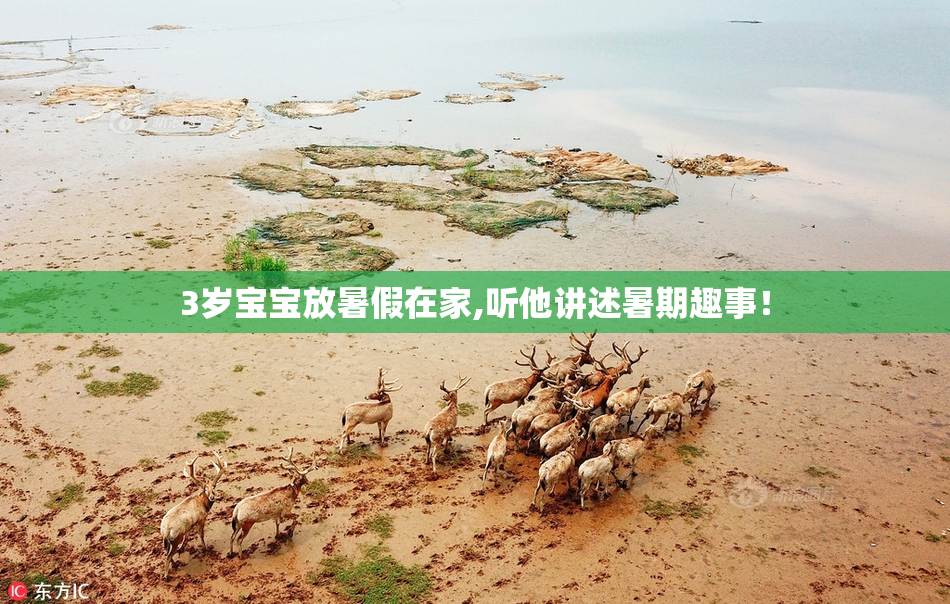 3岁宝宝放暑假在家,听他讲述暑期趣事！