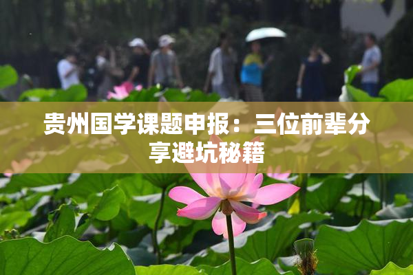 贵州国学课题申报：三位前辈分享避坑秘籍