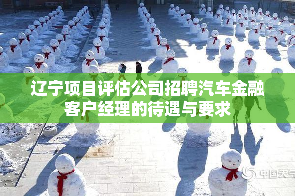 辽宁项目评估公司招聘汽车金融客户经理的待遇与要求