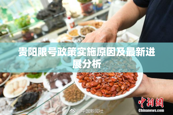 贵阳限号政策实施原因及最新进展分析