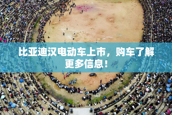 比亚迪汉电动车上市，购车了解更多信息！