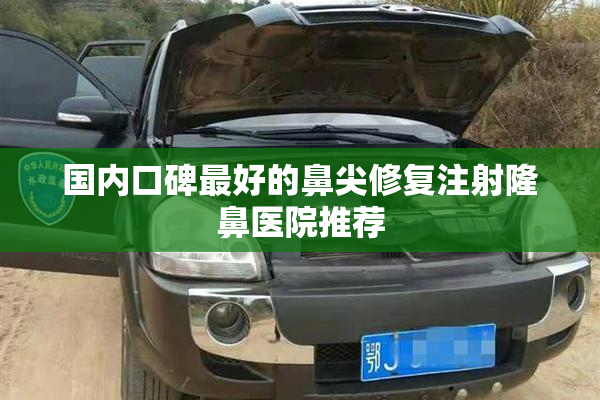 国内口碑最好的鼻尖修复注射隆鼻医院推荐