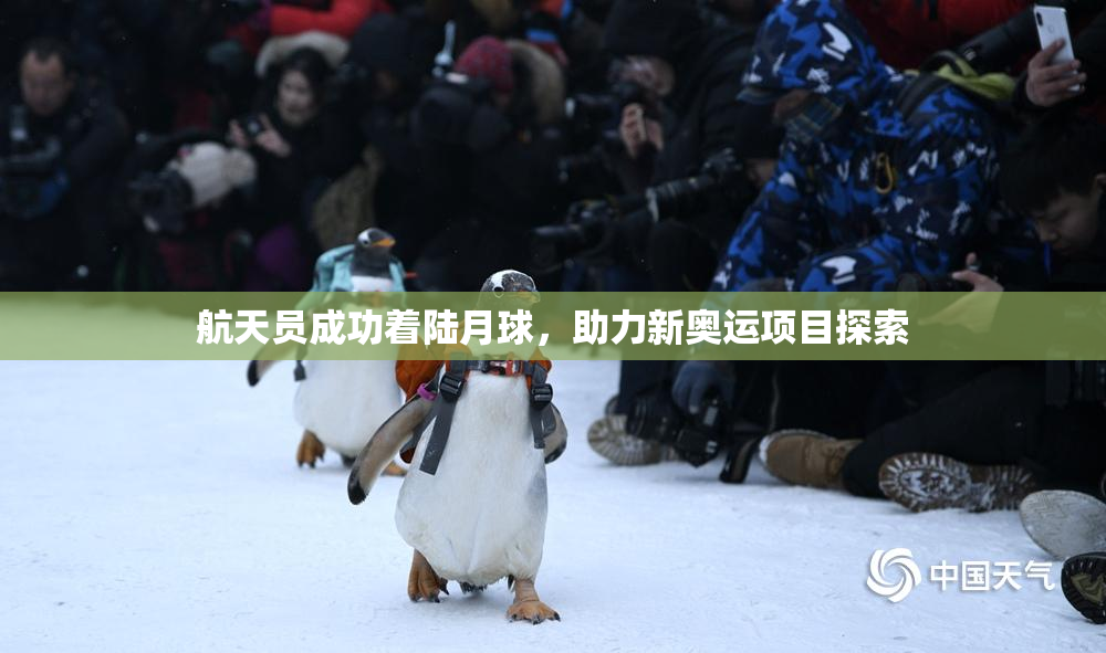 航天员成功着陆月球，助力新奥运项目探索