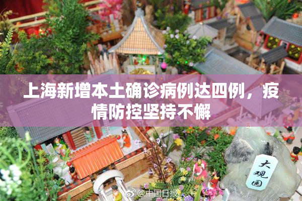 上海新增本土确诊病例达四例，疫情防控坚持不懈