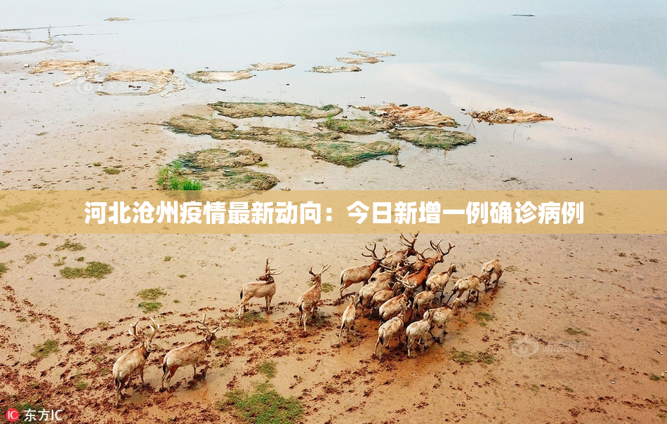 河北沧州疫情最新动向：今日新增一例确诊病例