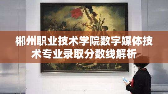 郴州职业技术学院数字媒体技术专业录取分数线解析