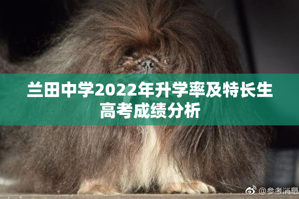 兰田中学2022年升学率及特长生高考成绩分析