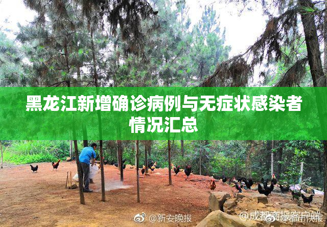 黑龙江新增确诊病例与无症状感染者情况汇总