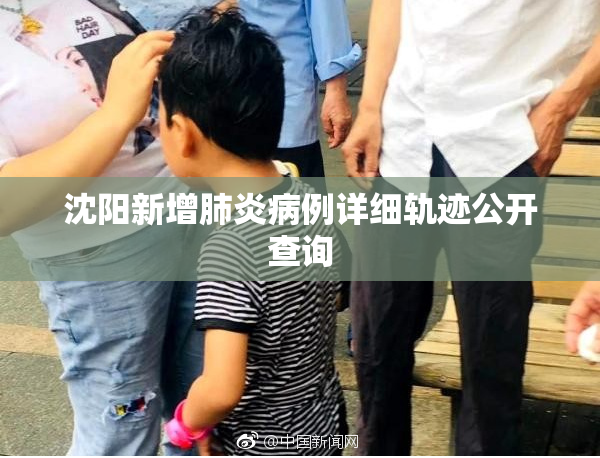 沈阳新增肺炎病例详细轨迹公开查询