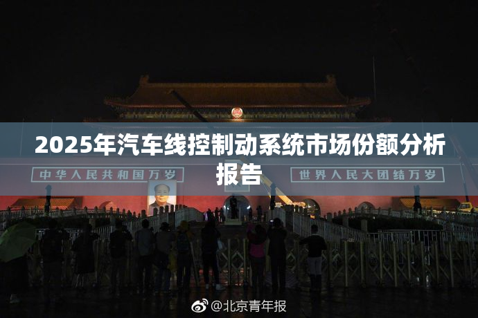2025年汽车线控制动系统市场份额分析报告