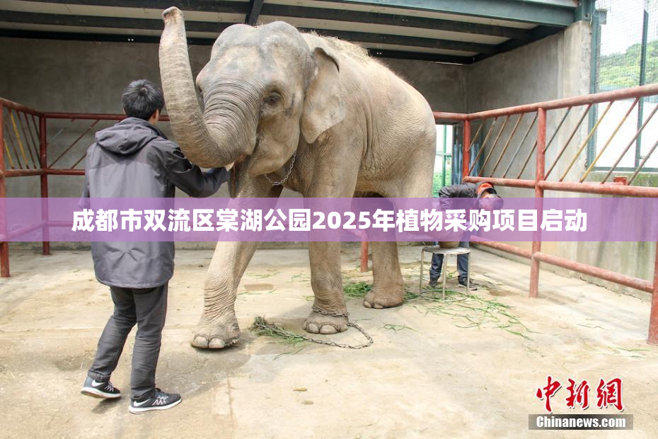 成都市双流区棠湖公园2025年植物采购项目启动