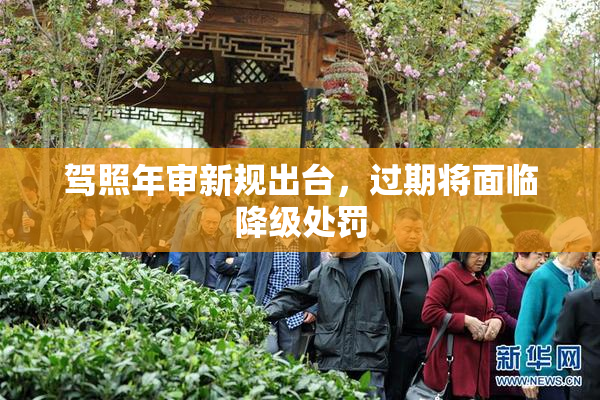 驾照年审新规出台，过期将面临降级处罚