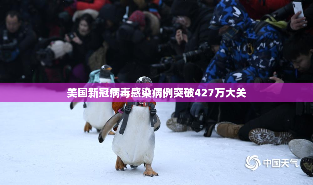 美国新冠病毒感染病例突破427万大关