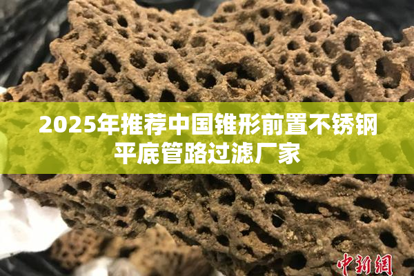 2025年推荐中国锥形前置不锈钢平底管路过滤厂家
