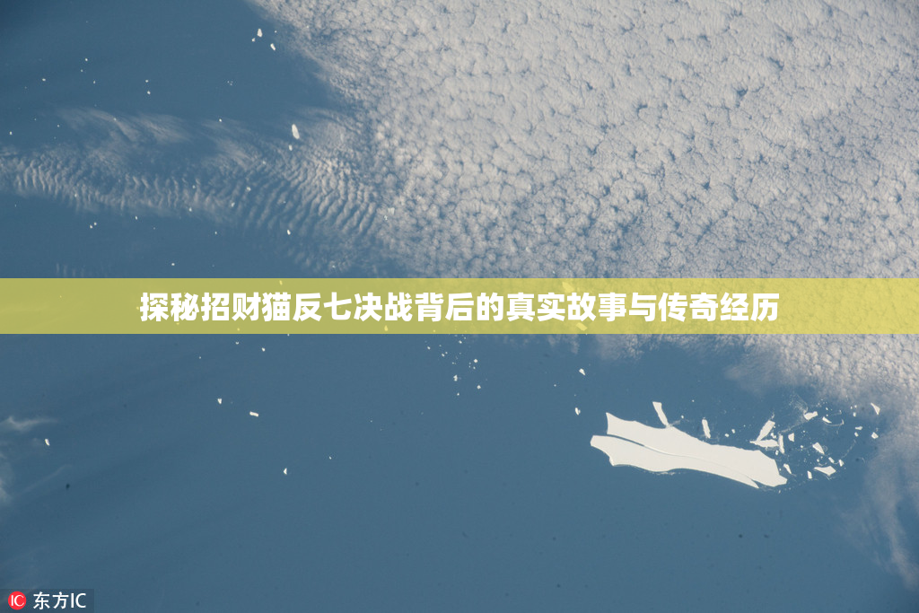 探秘招财猫反七决战背后的真实故事与传奇经历