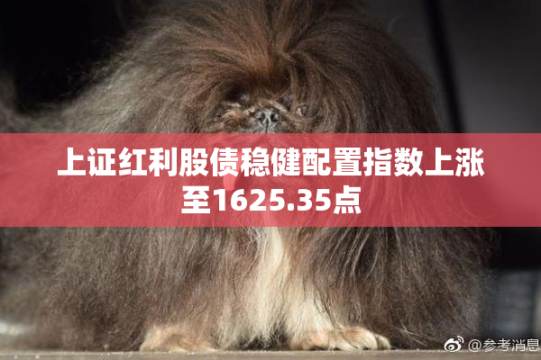 上证红利股债稳健配置指数上涨至1625.35点