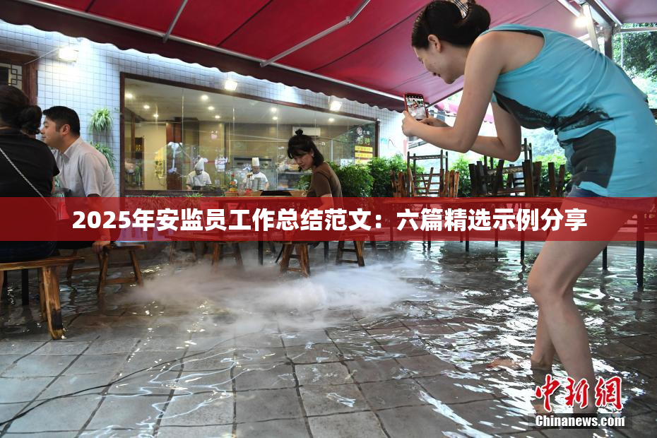 2025年安监员工作总结范文：六篇精选示例分享
