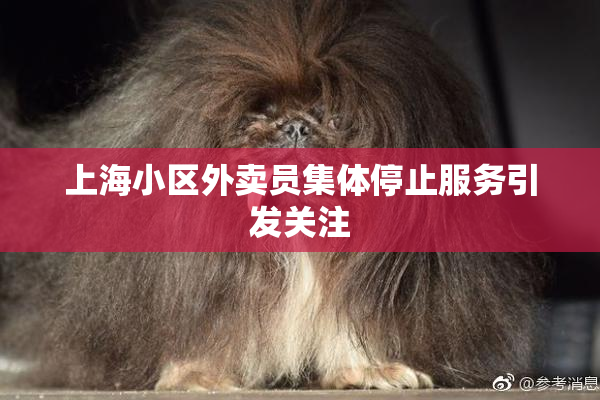 上海小区外卖员集体停止服务引发关注